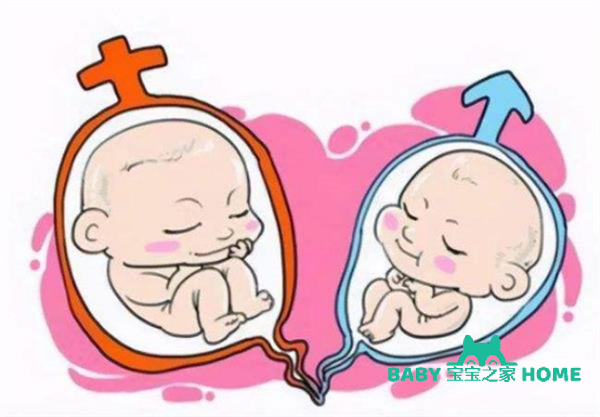 四个月胎心率150以上是男宝还是女宝?