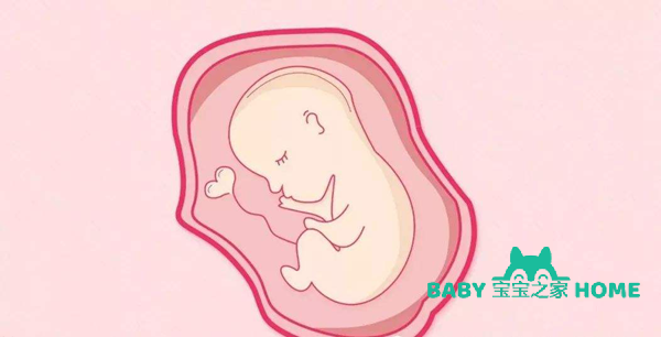 胎儿宫内发育迟缓怎么办